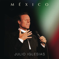 Julio Iglesias - Usted