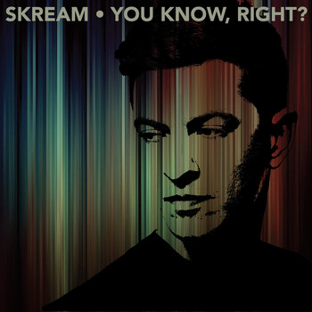 Skream - You Know, Right?
