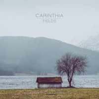 Carinthia - Fields