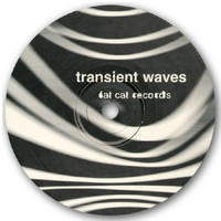 Transient Waves - Born with a Body and Fucked in the Head