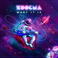 Zoogma - What It Is