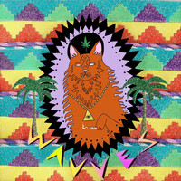 Wavves - King of the Beach (Explicit)
