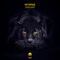 Heyspace - Giaguaro