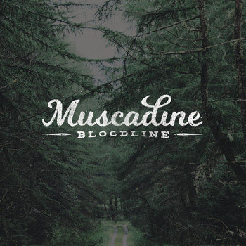 Muscadine Bloodline - Muscadine Bloodline