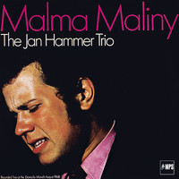 Jan Hammer - Malma Maliny