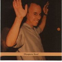 Steven Bernstein - Diaspora Soul