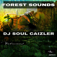 DJ Soul Caizler - Forest Sounds, Vol. 1