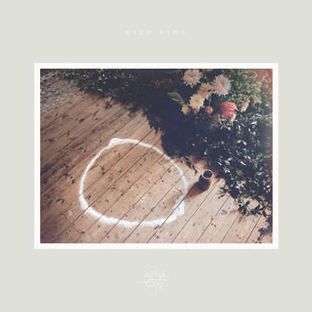 Laura Marling - Wild Fire (Explicit)