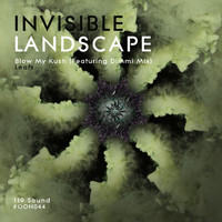 Invisible Landscape - Blow My Kush