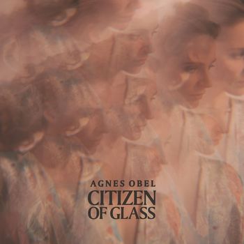 Agnes Obel - Citizen of Glass (Instrumental)