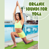 Organic Sound - Organic Sounds for Yoga – Deep Meditation, Yoga Music, Pilates Background Music, Nature Sounds, More Relaxation