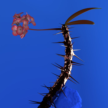 Flume - Skin Companion EP II (Explicit)