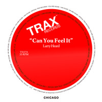 Larry Heard - Can You Feel It