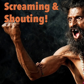 Various Artists - Screaming & Shouting