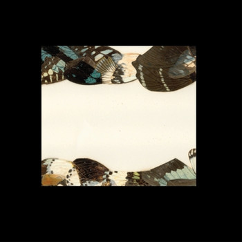 Pantha Du Prince - Butterfly Girl Versions