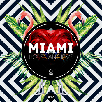 Various Artists - Miami House Anthems, Vol. 17