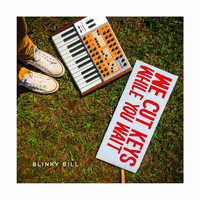 Blinky Bill - We Cut Keys While You Wait