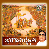 N. S. Prakash - Bhagawadh Geetha
