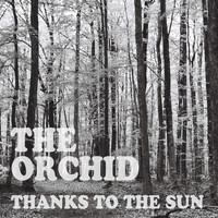 The Orchid - Thanks to the Sun