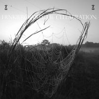 frnkiero and the cellabration - .weighted.