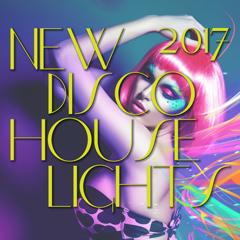 Various Artists - New Disco House Lights 2017