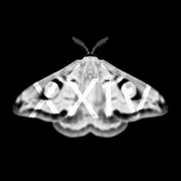 Ingen - Emetic XXXIV