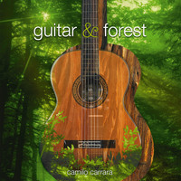 Camilo Carrara - Guitar & Forest