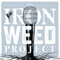 The Ironweed Project - The Blues Is Alive