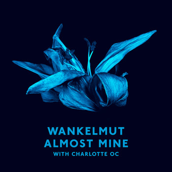 Wankelmut & Charlotte OC - Almost Mine (Radio Edit)