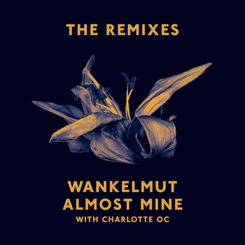 Wankelmut & Charlotte OC - Almost Mine (The Remixes)