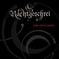 Nachtgeschrei - Eine erste Kerbe