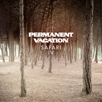 Various Artists - Permanent Vacation Safari 4
