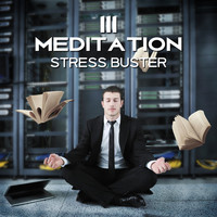 Deep Meditation Music System - 111 Meditation Stress Buster: Soothing Songs for Relax Body and Mind, Inner Peace, Mindfulness Medit