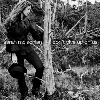 Sarah McLachlan - Don't Give Up On Us (Radio Edit)