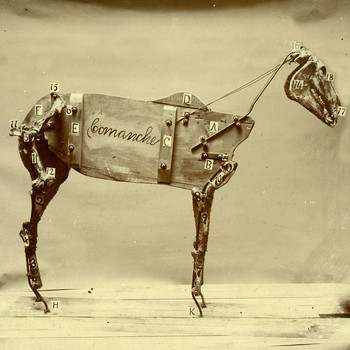 Chadwick Stokes & State Radio - The Horse Comanche