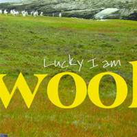 Wool - Lucky I Am