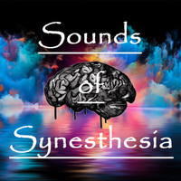 Union Of Sound - Sounds of Synesthesia