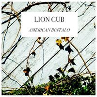Lion Cub - American Buffalo