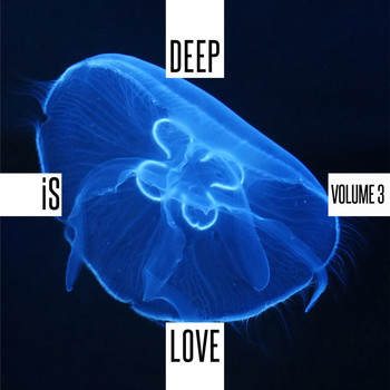 Various Artists - Deep is Love, Vol. 3 (Explicit)