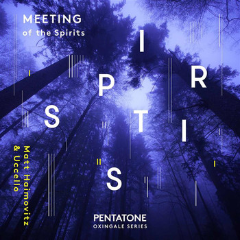 Matt Haimovitz - Meeting of the Spirits
