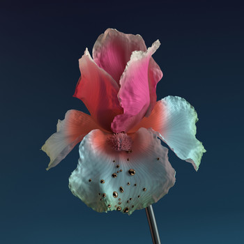 Flume - Skin: The Remixes (Explicit)