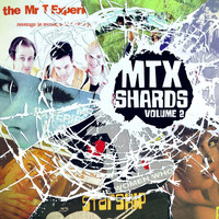 The Mr. T Experience - Shards, Vol. 2