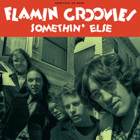 The Flamin' Groovies - Somethin' Else