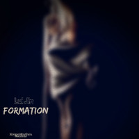 Lui Jin - Formation