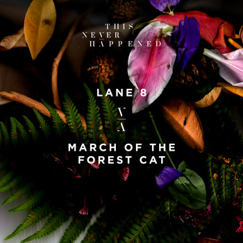 Lane 8 - March of the Forest Cat