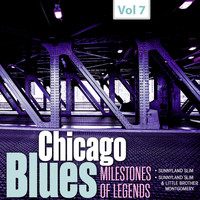 Sunnyland Slim - Milestones of Legends - Chicago Blues, Vol. 7