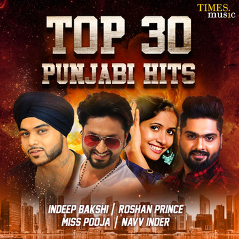 Various Artists - Top 30 Punjabi Hits