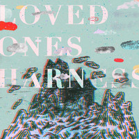 Loved Ones - Harness