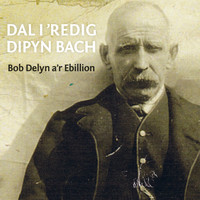 Bob Delyn A'r Ebillion - Dal i 'Redig Dipyn Bach