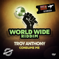 Troy Anthony - Consume Me